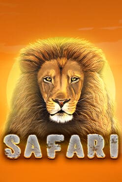 Слот машина Safari начать игру на виртуальные фишки в игровом заведении